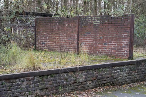 Two old damaged brick walls with moss and dry grass growing in loading dock area during autumn