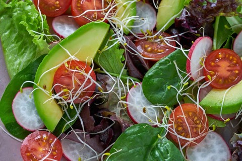 Avocado salad with sprouts tomatoes spinach and radish healthy food