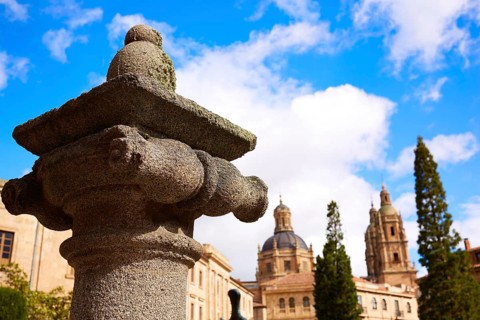 Salamanca Cathedral column detail in Spain by the Via de la Plata way to Santiago
