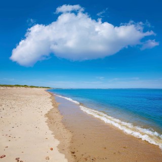 Cape Cod Sandy Neck Beach in Barnstable Massachusetts USA