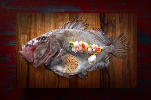 Ceviche modern cuisine of San Pedro fish Zeus faber