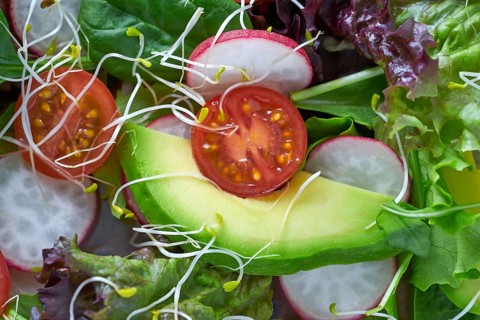 Avocado salad with sprouts tomatoes spinach and radish healthy food