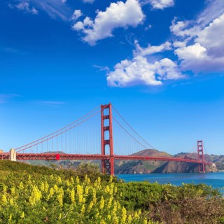 Golden Gate Bridge San Francisco from Presidio in California USA