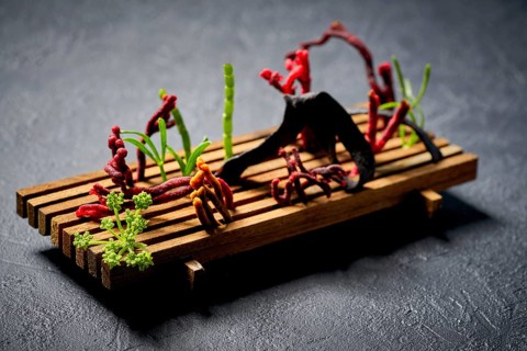 Codium seaweed salad modern cuisine with marine fennel and colorful algae