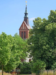 Marquardt village church in summer. Havelland, Brandenburg, Germany, Europe