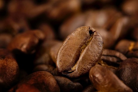 Roasted coffee beans, Vienna, Austria, Europe