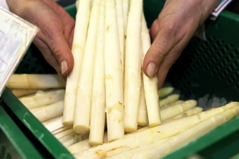 Verkäuferin hält einen Spargelbund in ihren Händen (Sales woman holding a bunch of asparagus in her
