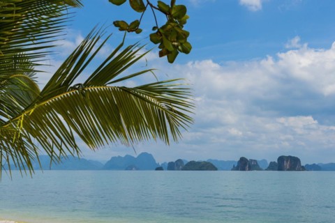 Palm beach on Koh Yao Noi, beach holiday, beach landscape, palm tree, sea, dream beach, dream