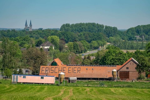Farm near Xanten, sells fresh eggs from the farm, farm shop, Höhnshof, advertising on the red