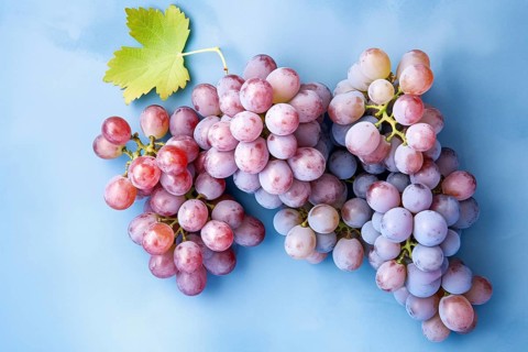 Bunch of red grapefruits on blue background. KI generiert, generiert AI generated