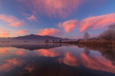 Cloudy mood, dawn, mountains reflected in lake, winter, hoarfrost, Loisach-Lake Kochel moor, behind