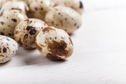 Raw quail eggs on a white wooden background. with copy space