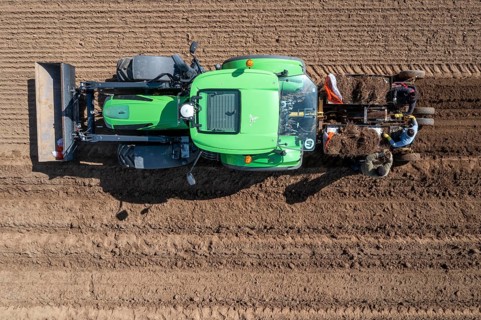 Asparagus farm, asparagus plant, planted in a field, with a planting machine, after a good year the