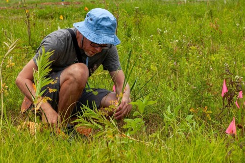 Detroit, Michigan, Volunteers planting in the wetlands at the public garden designed by prominent