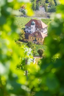 The idyllic, listed Hoflößnitz is a jewel of the Saxon wine culture landscape and the first and