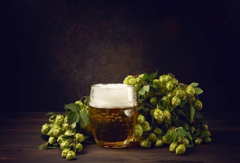 A mug of beer, on a wooden table, with a branch of fresh hops, rustic, no people