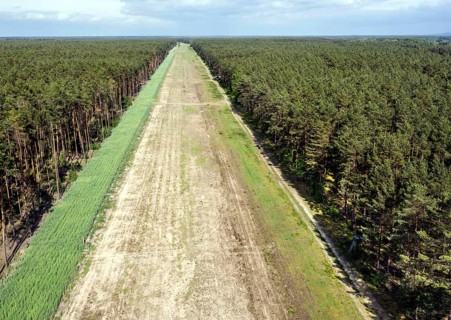 A path in the forest shows the route of the EUGAL pipeline. Hydrogen could be transported via the