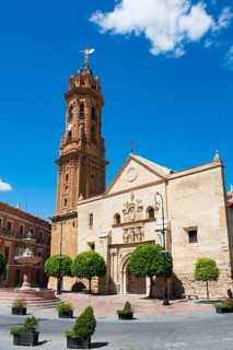 Historic church with high brick bell tower in a sunny square with blue sky, Real Colegiata de San