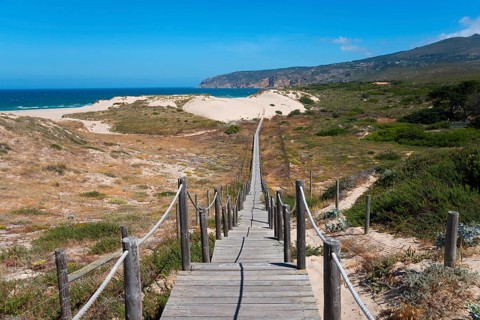 Wooden path through sand dunes and vegetation with sea and rocks in the background, clear sky,