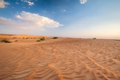 Sand dunes, Wahiba Sands desert, Sharqiya sand, Oman, Asia