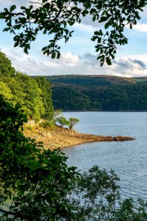 Lake Rursee, reservoir in the Eifel National Park, north-east bank near Heimbach, near the Rur dam