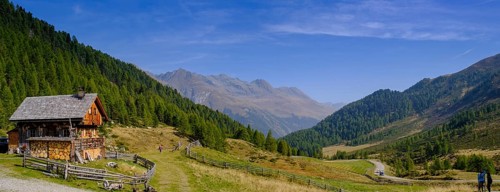 Staller Almen, high valley, Staller Sattel, Defereggen Valley, East Tyrol, Austria, Europe