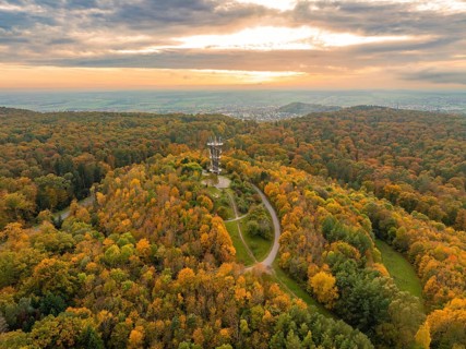 Autumnal forest with observation tower and colourful sea of leaves under a dramatic sky,