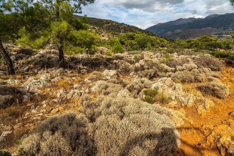 Hiking trail through the high plateau to ancient Lissos near Sougia, Crete, Greece, Europe