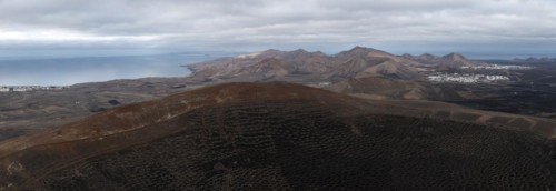 Grapevines growing in black volcanic soil in protected enclosed pits, La Geria, Lanzarote, Canary