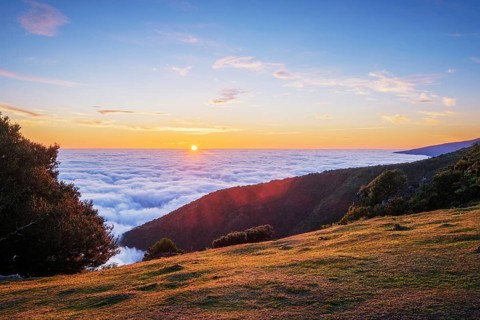 Sunrise above clouds and green hills at Fanal mountain, Madeira island, Portugal, Europe
