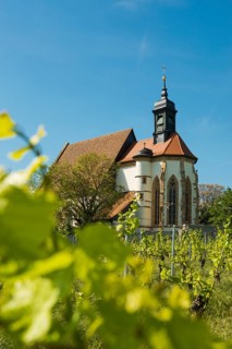 Pilgrimage church Maria im Weingarten, Volkach, Mainfranken, Lower Franconia, Franconia, Bavaria,