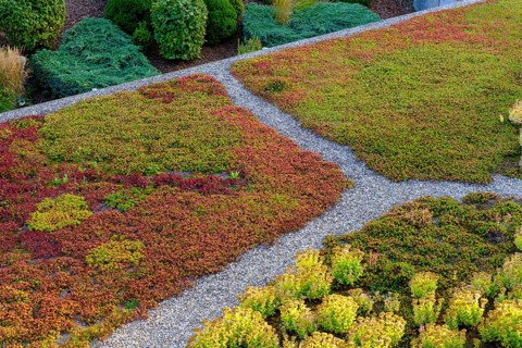Roof greening, dry plants, succulents, Pustertal, South Tyrol, Italy, Europe