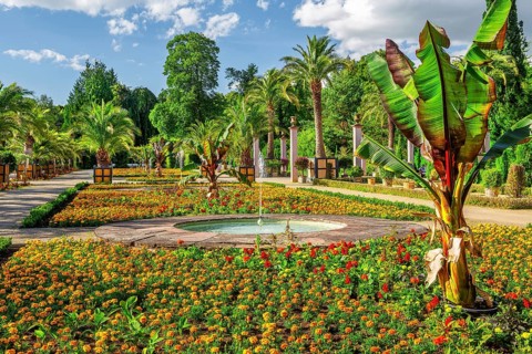 Palm garden in the spa gardens, the largest outdoor palm garden north of the Alps, spa town of Bad