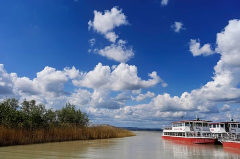 Bicycle ferry at the landing stage, Illmitz, National Park, Lake Neusiedl, Seewinkel, Burgenland,