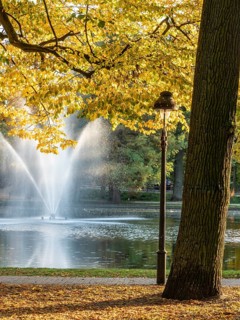 Autumn foliage, colourful trees, fountain in the pond, park Französischer Garten (French Garden),