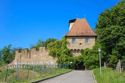 Hohenbeilstein Castle, hilltop castle, vineyards, Beilstein, Heilbronn district, Baden-Württemberg,