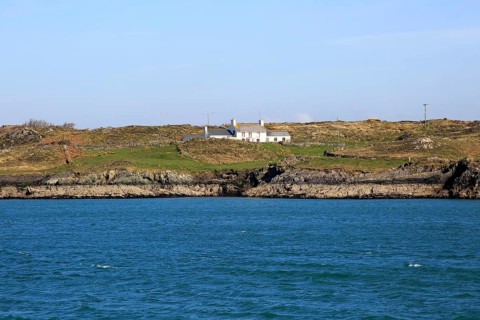 Farmhouse croft on Ringarogy Island, Roaringwater Bay, County Cork, Ireland, Irish Republic, Europe