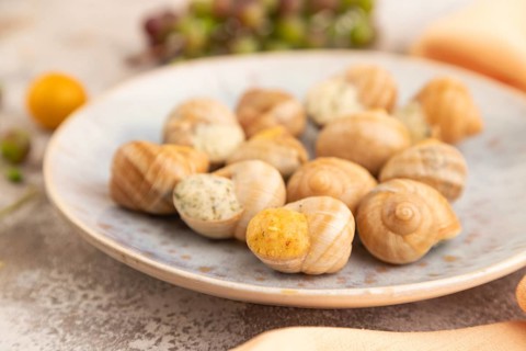 Grape (Burgundy) snails with butter and cheese on brown concrete background and orange textile.