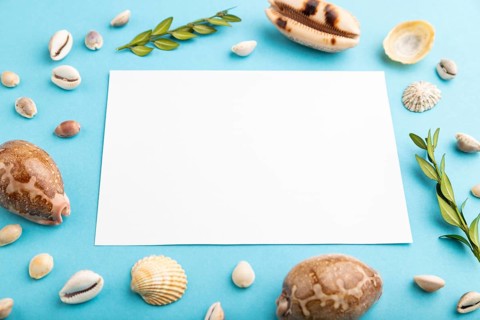 Composition with white paper sheet, seashells, green boxwood. mockup on blue pastel background.