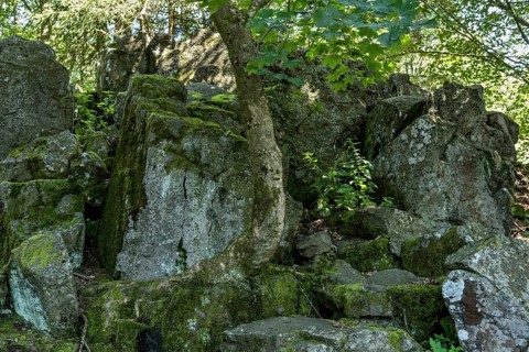 Volcanic basalt rocks, basanite, summit of Hoherodskopf mountain, Tertiary volcano, Schotten,