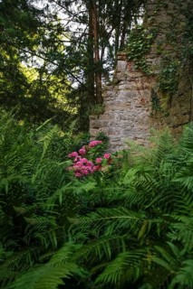 Hochberg Castle, formerly Hochberg Castle, Hohenberg Castle, former seat of the Hochberg lordship,