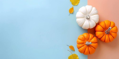 Banner with orange and white pumpkins on pastel blue background with copy space. Generative Ai, AI