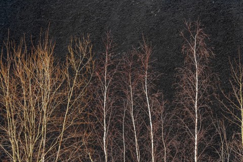 Coal stockpile, coal store, steam coal, for the STEAG Herne thermal power station, on the