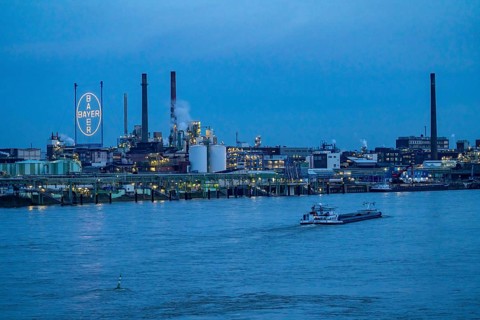 Backdrop of Chempark Leverkusen, Bayer Leverkusen, chemical park, chemical plant, river Rhine,