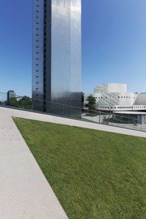 Ingenhoven-Tal, green roof as sunbathing area at Kö-Bogen II, Dreischeibenhaus, Düsseldorfer