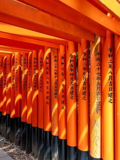 Torii gates, Fushimi Inari-Taisha shrine, Kyoto, Japan, Asia