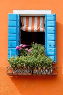 Open window with blue shutters and blooming flower box on an orange-coloured wall, Burano, Venice,