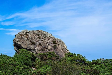 Agglestone Rock, Devil's Anvil, Studland, Dorset, England, United Kingdom, Europe