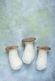 Fresh eringi mushrooms, raw, royal oyster mushrooms, three pieces, Asian cuisine, no people