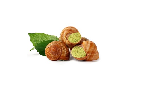 Gefüllte Weinbergschnecken, burgunderrot, auf weißem Hintergrund, isoliert